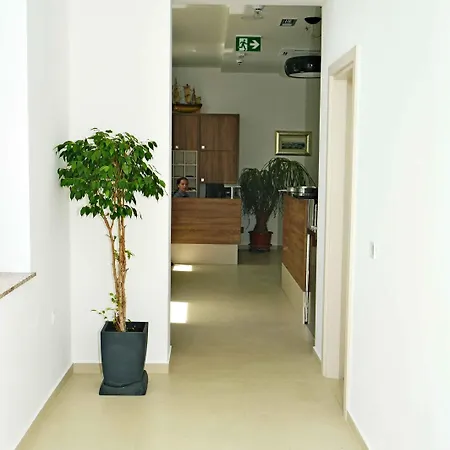 酒店 Boutique Mali Raj 4*